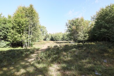 1021 Surry Rd, Surry, ME 04684 - photo 3