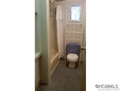 14 Noland Hills Dr, Leicester, NC 28748 - photo 6