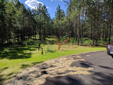 0 Bear Trace Dr unit RTC2729913, Jasper, TN 37347 - photo 4