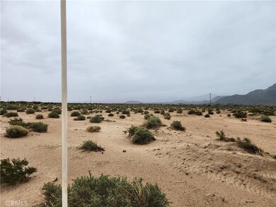 3 AC Fairview Rd, Newberry Springs, CA 92365 - photo 5