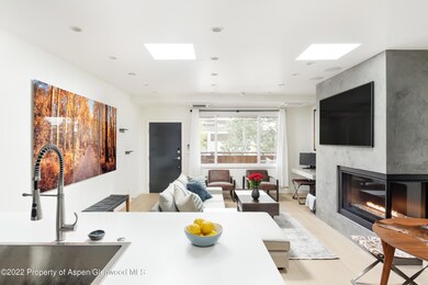 450 S Original St unit 8, Aspen, CO 81611 - photo 5