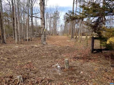 0 Twymans Mill Rd unit 627807, Madison, VA 22719 - photo 2