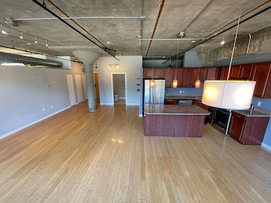 Liberty Lofts Condos unit 212, Ann Arbor, MI 48103 - photo 4