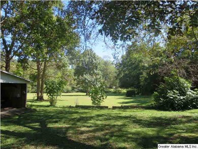 Pecan and fruit trees