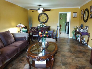 11142 W Emerald Dr, Sun City, AZ 85351 - photo 5