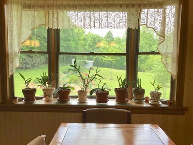 Viewfrom Dining Area
