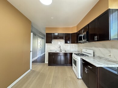 2713 W 16th St unit 3, Chicago, IL 60608 - photo 3