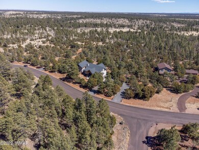 2827ChandelleLn-JMeacham-Drone-4