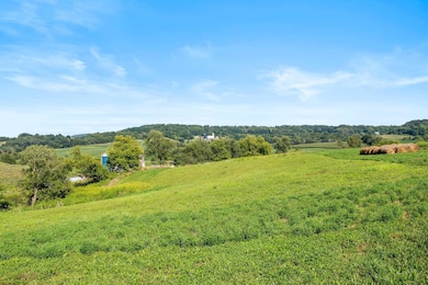 W10864 Santas Loop, Wonewoc, WI 53968 - photo 3