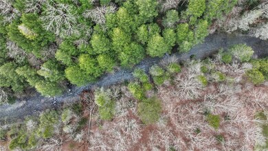 Drone / aerial view featuring a view of trees