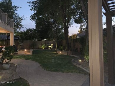 Back Yard Lights