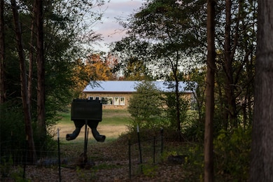 640 County Road 4910, Troup, TX 75789 - photo 5