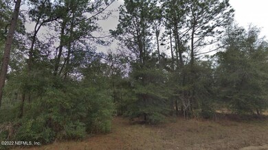 935 Gloria Ave, Interlachen, FL 32148 - photo 5