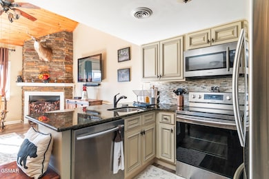 1380 Ski View Dr unit 3301, Gatlinburg, TN 37738 - photo 3