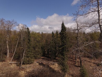 DJI_0028