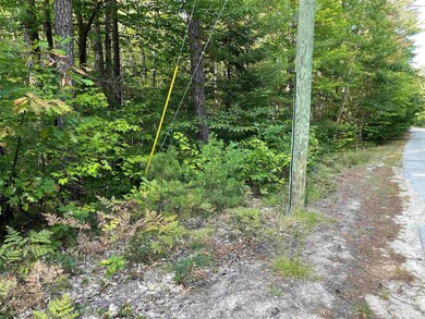 0 Elm St, Effingham, NH 03882 - photo 3