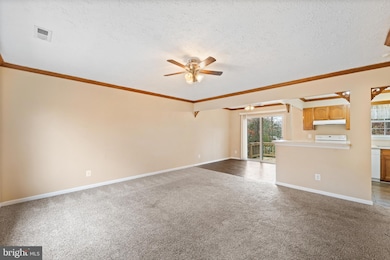 659 San Gabriel Rd, Lusby, MD 20657 - photo 5