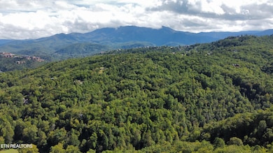 dji_fly_20250925_145910_752_175882748498