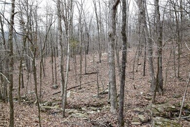 0 Madison 5548, Valley Township, AR 72727 - photo 2