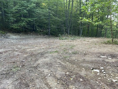 0 Caton Rd unit R1640864, Corning, NY 14830 - photo 6