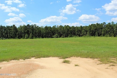 10.7 Acres Highway 98, Lucedale, MS 39452 - photo 5
