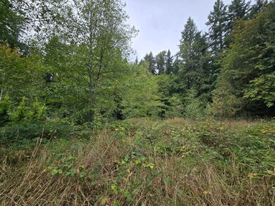 12628 208th Place NE, Union Hill-Novelty Hill, WA 98077 - photo 6