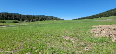 NE Looking North