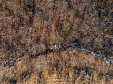 000 SE Highway J, Collins, MO 64738 - photo 4