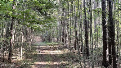 478 Andrew Chapel Rd, Brandon, MS 39042 - photo 7