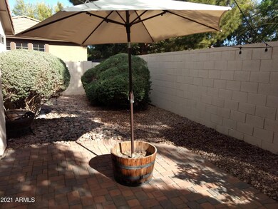 Backyard 1