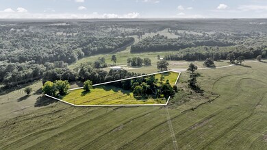 363 Private Road 3399, Big Sandy, TX 75755 - photo 4