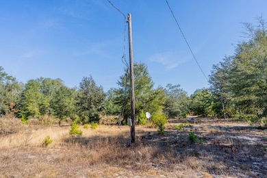 503 Old McHaus Rd, Nicholls, GA 31554 - photo 3