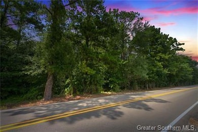 0 Rigmaiden Cemetery Rd, Dequincy, LA 70633 - photo 5