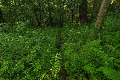 N34701 County Rd N, Blair, WI 54616 - photo 2