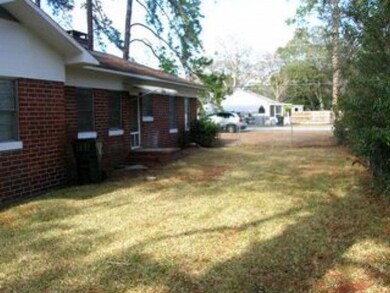 Back yard 2