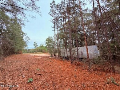 0 Cemetery Rd, Tylertown, MS 39667 - photo 7