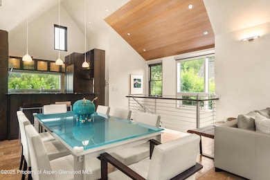 939 E Cooper Ave unit B, Aspen, CO 81611 - photo 6