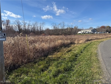 5089 Bayard Rd, Homeworth, OH 44634 - photo 7