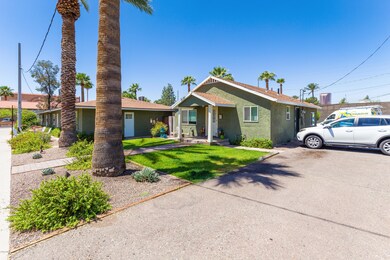 Palm_Lane_07
