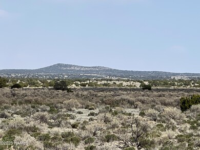 2331 E Doris Dr, Valle, AZ 86046 - photo 7