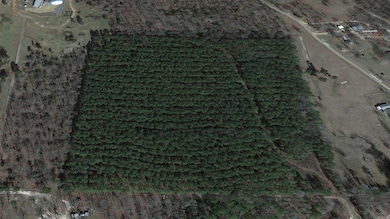 0 Mc 483 unit 25046838, Fouke, AR 71837 - photo 7