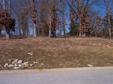 0 E Daisy Falls Dr unit 11302000, Nixa, MO 65714 - photo 7