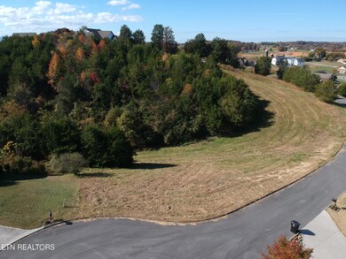 DJI_0277