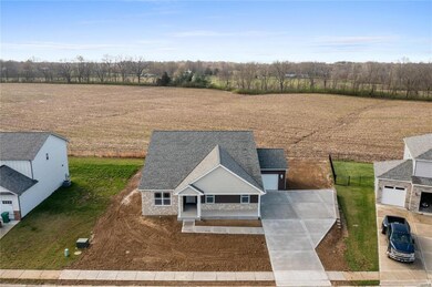 1013 Torrey Ln, Freeburg, IL 62243 - photo 5