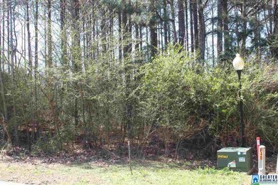 00 Clarendon Rd unit lot 61, Cullman, AL 35057 - photo 6