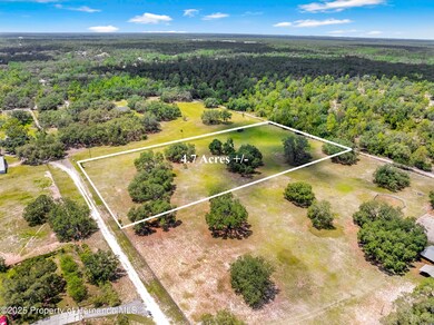 0 Hurricane Dr unit 2254824, Weeki Wachee, FL 34614 - photo 2