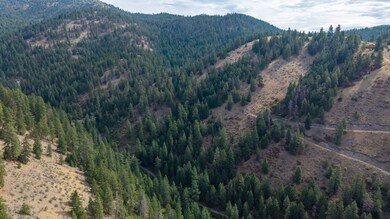 NHN Copper Ridge Trail, Florence, MT 59833 - photo 4