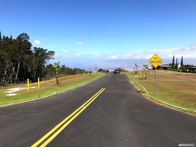 0 Ainakula Rd unit Lot 1, Land Court 3, Kula, HI 96790 - photo 7