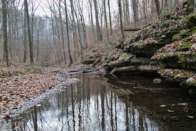 10001 Davis Branch Rd, Bon Aqua, TN 37025 - photo 5