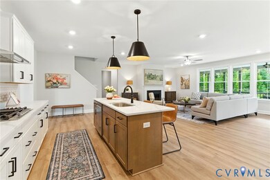 1393 Meadow Grove (Lot 9) Dr, Powhatan, VA 23139 - photo 7